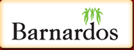 Bernardos Gold Appeal